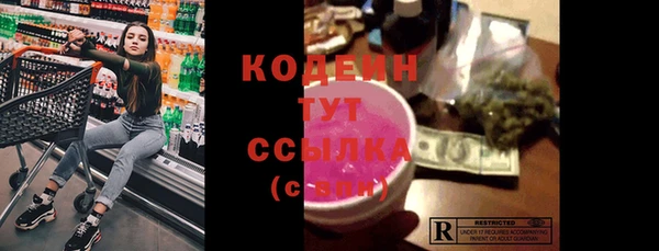 твердый Бородино