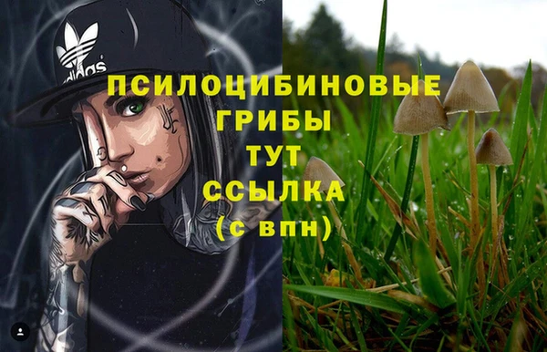 a pvp Баксан