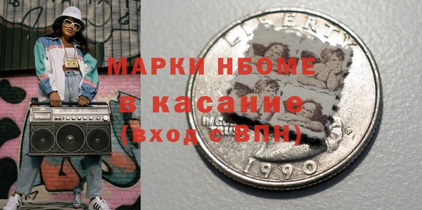 твердый Бородино