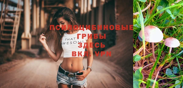 MDMA Premium VHQ Бугульма