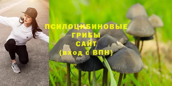 твердый Бородино