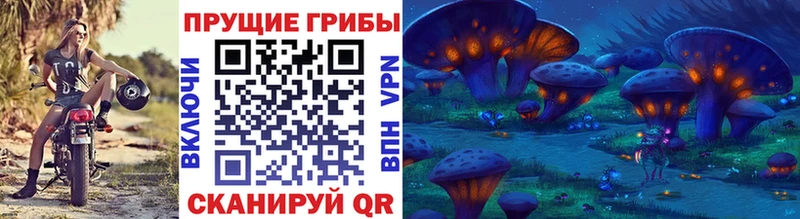 Галлюциногенные грибы Psilocybe  Кировск 